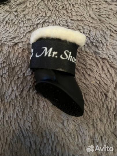 Обувь для собак