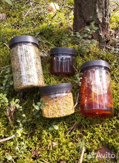 Набор «Дары алтайской природы»