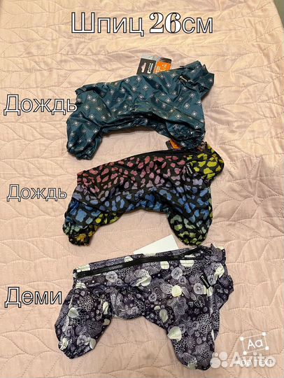 Костюм для собаки