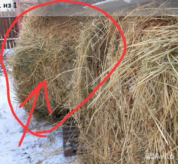 Солома в рулоне овсяная