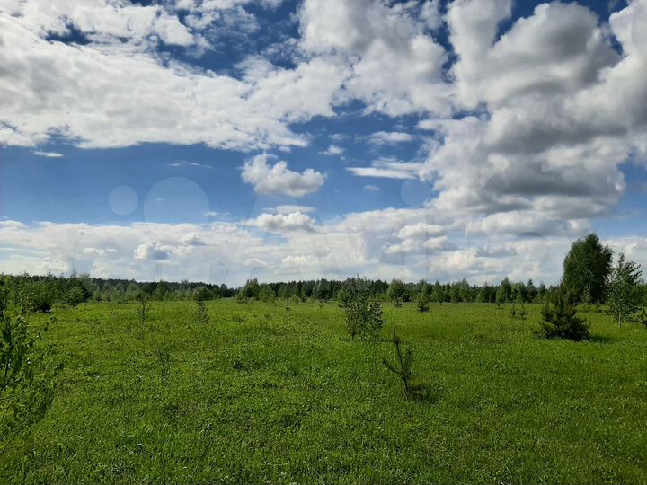 Участок 10 сот. (СНТ, ДНП)