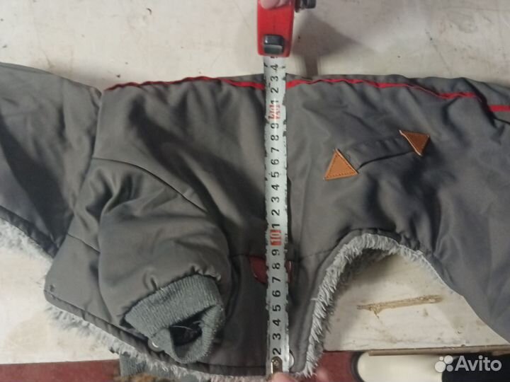 Одежда для собак такса