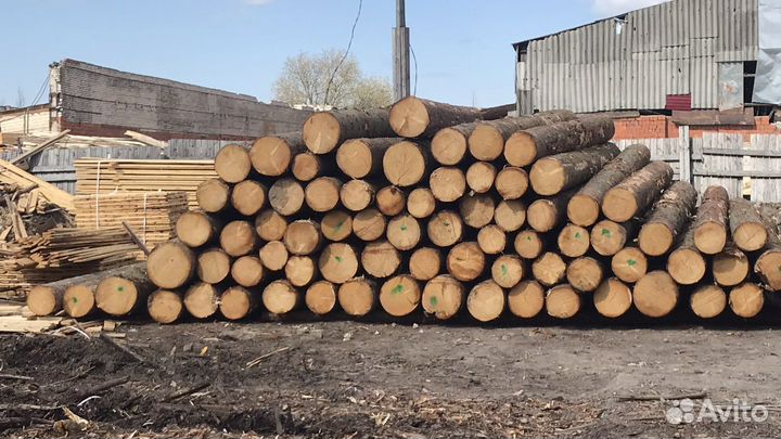 Рамщик на ленточную пилораму