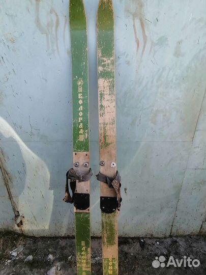 Лыжи охотничьи