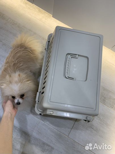 Переноска для кошек и собак