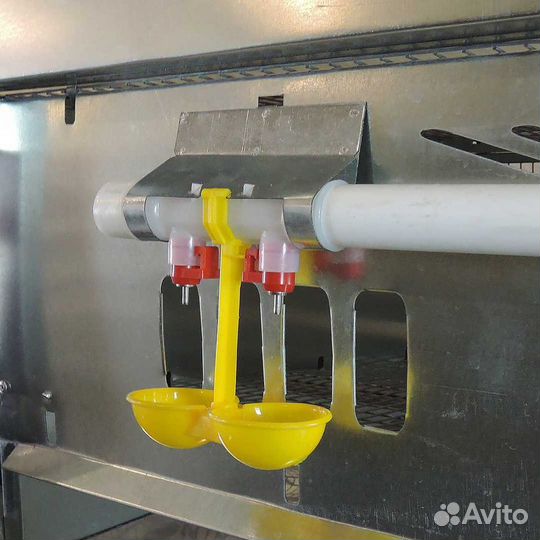 Клетка для перепелов на 50 (до 300) голов