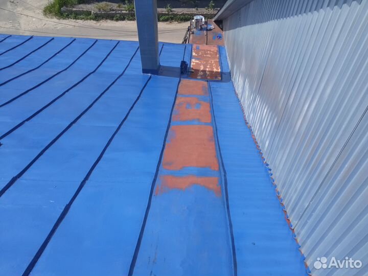 Зачистка и покраска крыш, домов и заборов