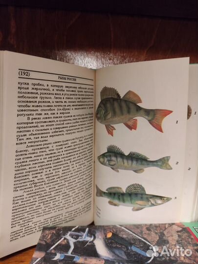 Книги про охоту, рыбалку, воспитание собак