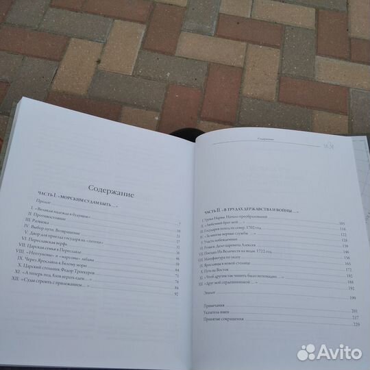 Серова И.А. Петр Великий. Ярославль, 2022