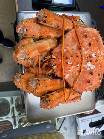 Краб камчатский целый