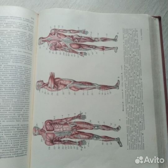Популярная медицинск.энциклопедия 1968.г