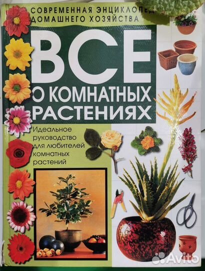 Книги о комнатных растениях