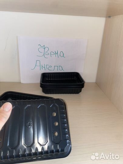 Контейнер для микрозелени Лоток