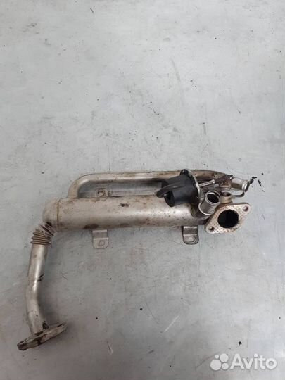 Радиатор EGR Volkswagen Caddy 3 2008 03G131512