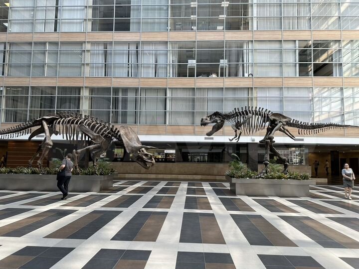 Офис, 185.2 м²