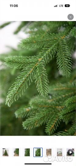 Ель новогодняя 240 см