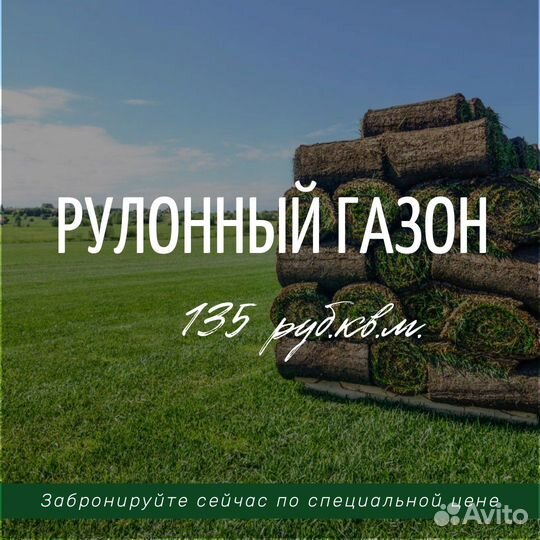 Рулонный газон