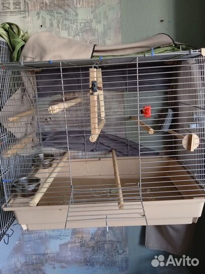 Клетка для попугая