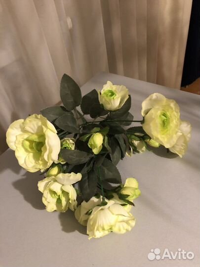 Интерьерные цветы