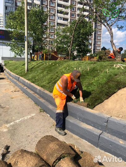 Рулонный газон