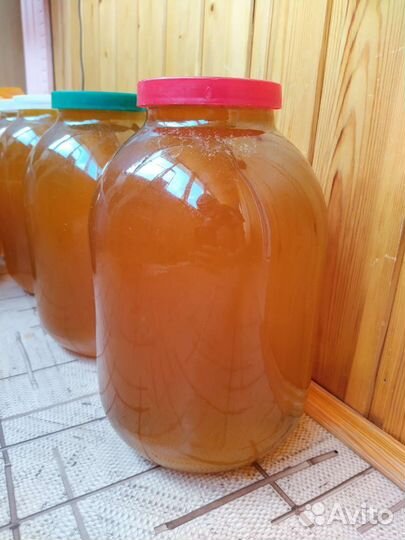 Мед разнотравье + подсолнечник сбор 2023