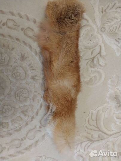 Воротник лисы