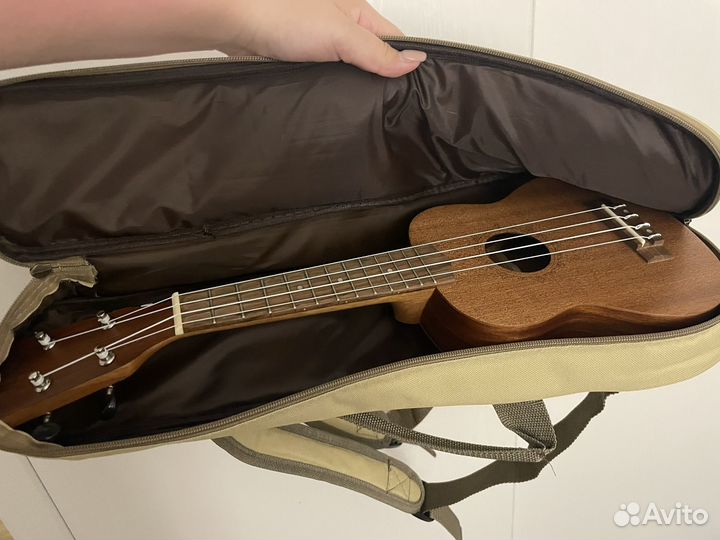 Укулеле flight