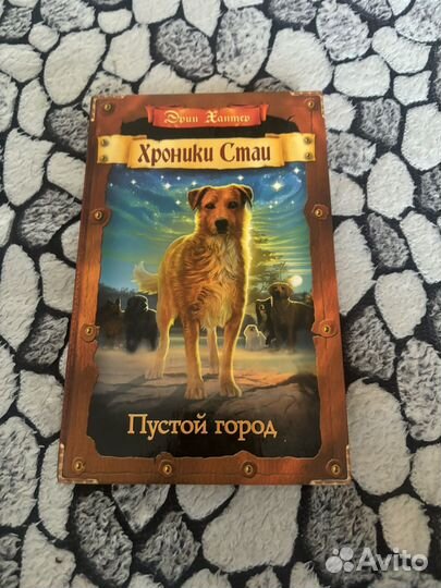 Книги хроники стаи