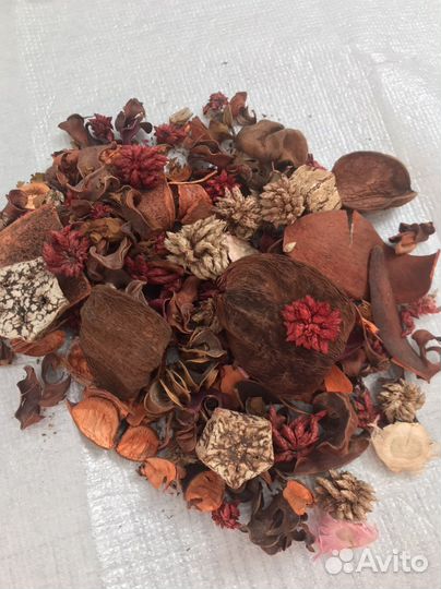 Декоративные сухоцветы интерьерные