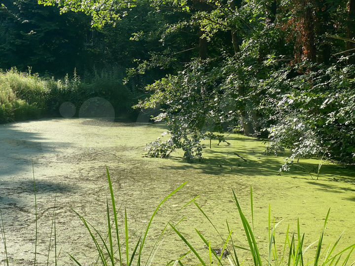 Участок 1,42 га (ИЖС)