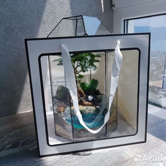 Подарок, флорариум