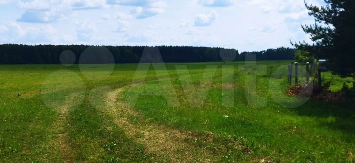 Участок 3,66 га (СНТ, ДНП)