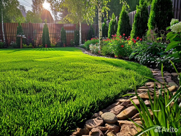 Газон премиум