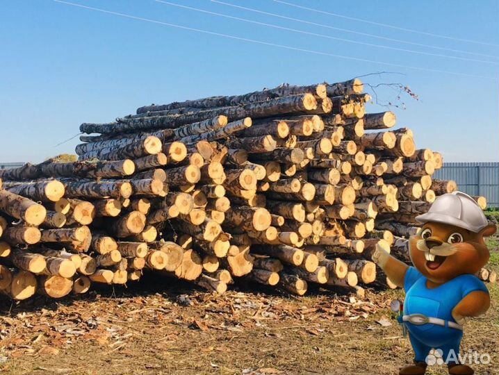 Дрова березовые в укладку