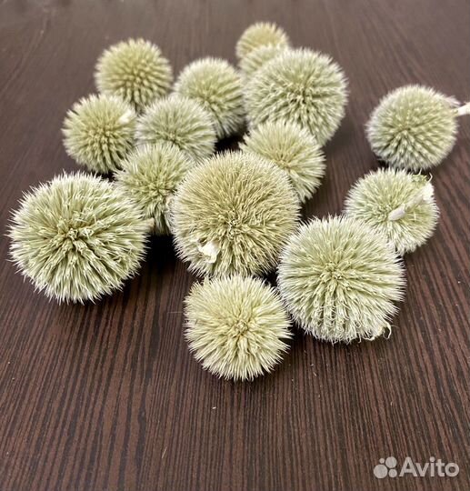 Мордовник шарики с доставкой