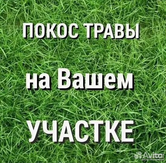 Покос травы триммером