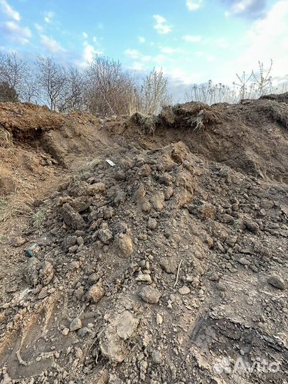 Отдам бесплатно грунт