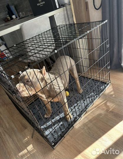 Клетка для животных