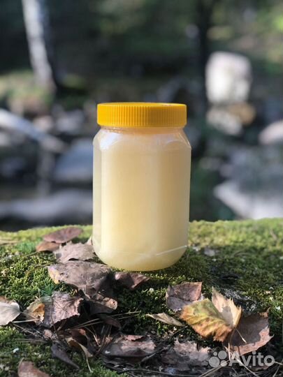 Мёд Алтая 2023 (Розница вес 1.2кг)