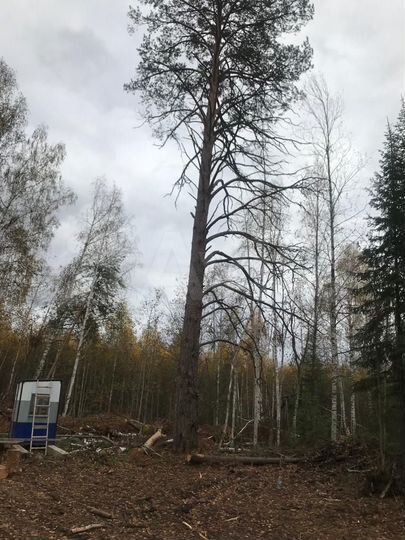 Участок 15 сот. (ИЖС)
