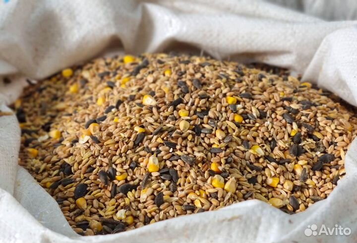 Зерно: Пшеница, Кукуруза, Ячмень, Семечка, Люцерна