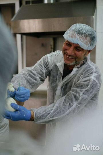 Сыр моцарелла, буррата, страчателла