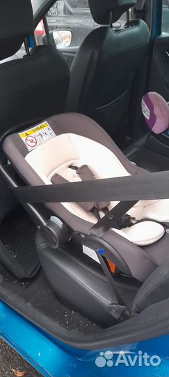 Автолюлька дафни зигер