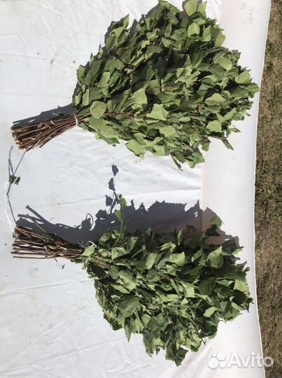 Веники дуб, берёза