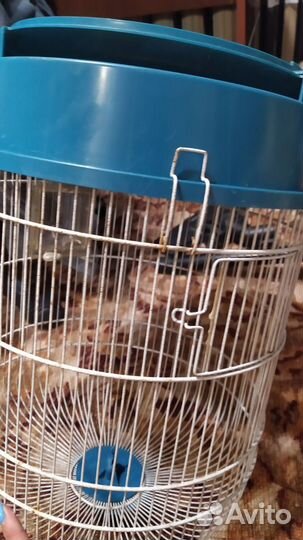 Клетка для птиц