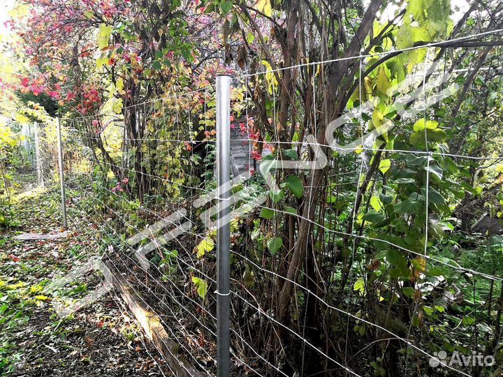 Сетка Шарнирная / Фермерская / Лесная 2,0 м