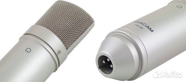 Микрофон tascam TM-80