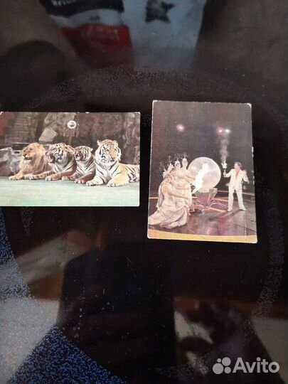 Календарь 1981