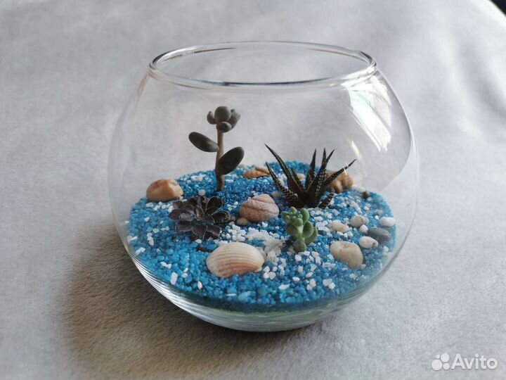 Кактусы отдельно или флорариум на заказ