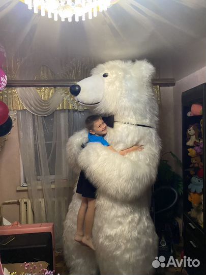 Ростовой медведь / Аэро-медведь